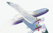Как нарисовать военный самолет Самолеты, выполненные по схеме «бесхвостка»
